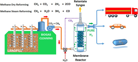 Integration of biogas dry methane reforming and electrolysis: An efficient pathway for green hydrogen production