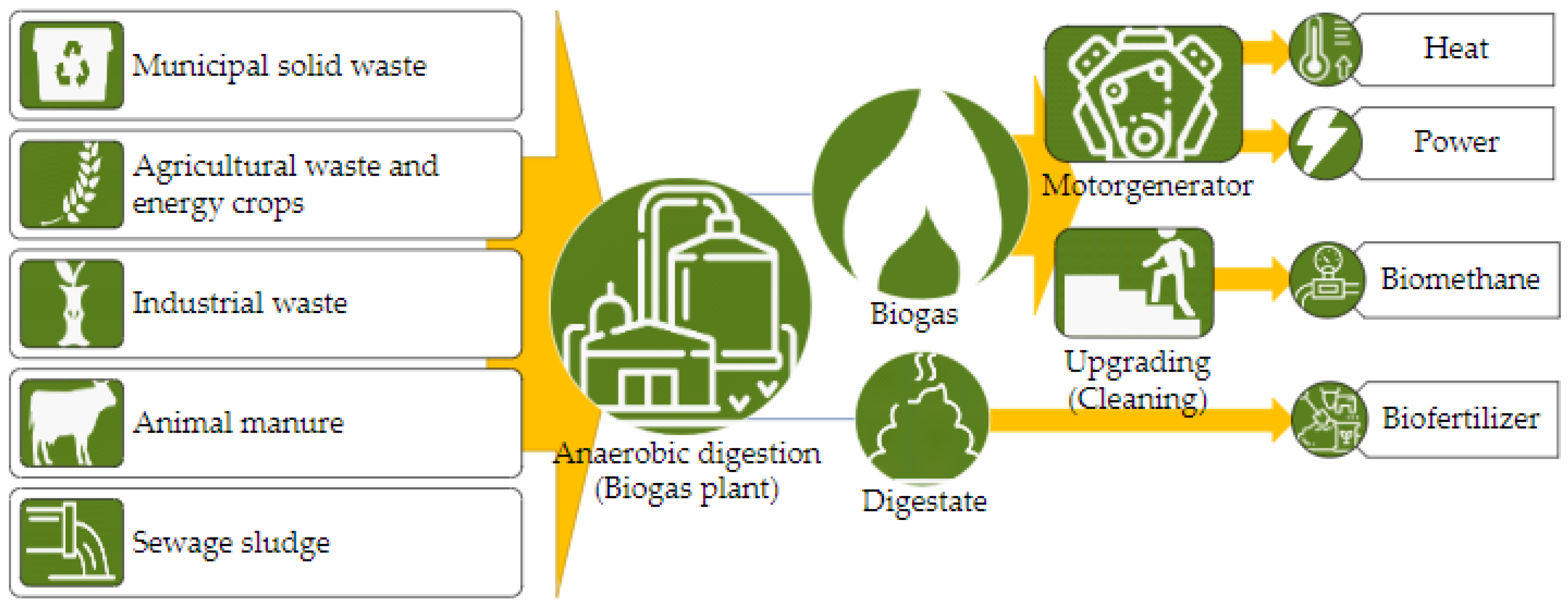 Business Model and Sustainable Development Goals for an Innovative Agricultural Waste Management: Distributed Biogas Production